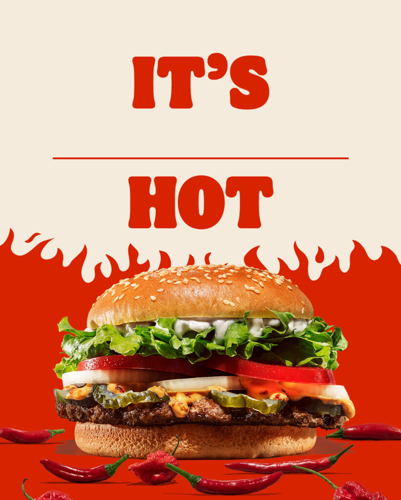 Burger King Flame Grilled Beef Menu with prices